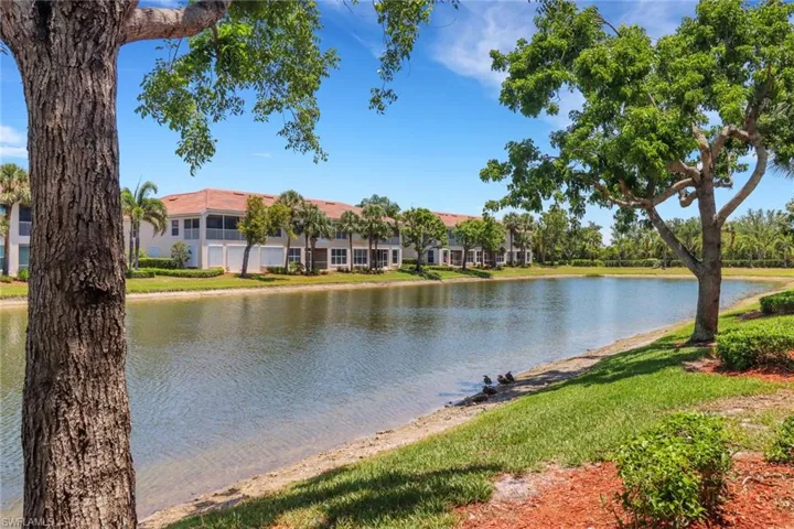 Water view