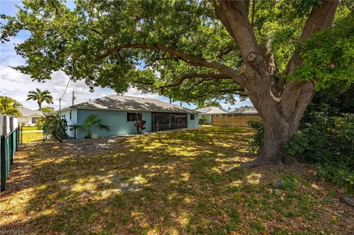 Tree canopied backyard