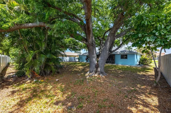 Tree canopied backyard