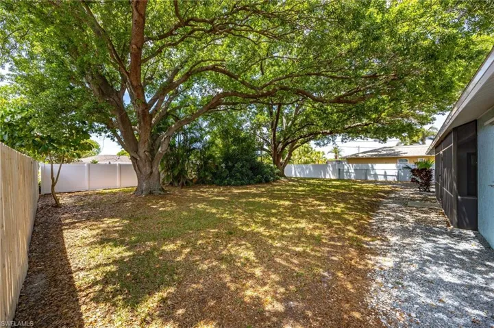 Tree canopied backyard
