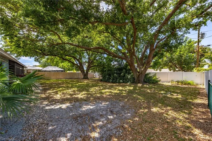 Tree canopied backyard