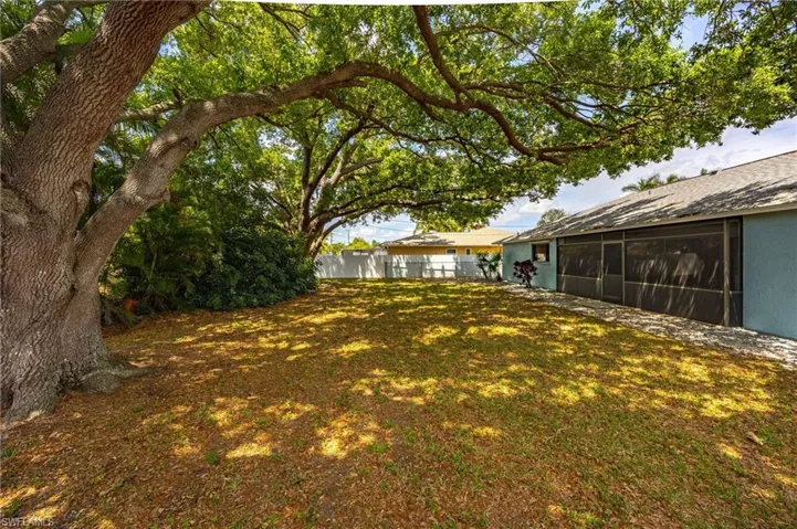 Tree canopied backyard