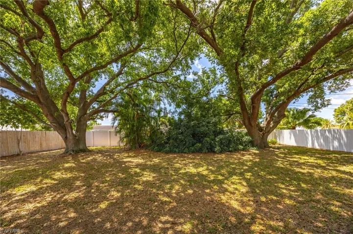 Tree canopied backyard