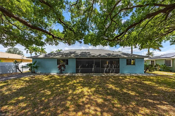 Tree canopied backyard