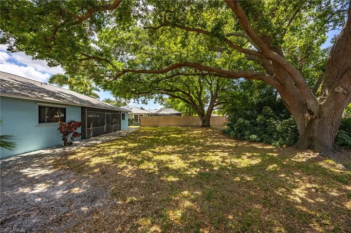 Tree canopied backyard