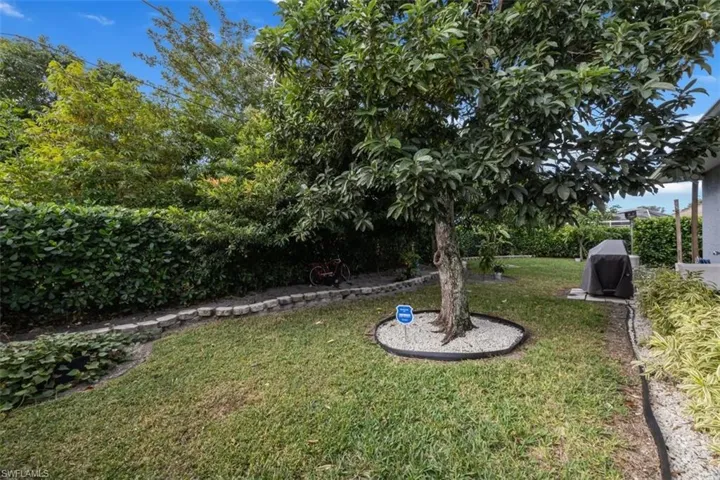 View of green lawn