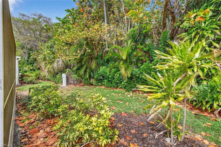 View of grassy yard