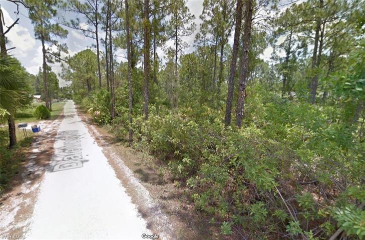 20498  Dalewood  RD, NORTH FORT MYERS, FL 33917