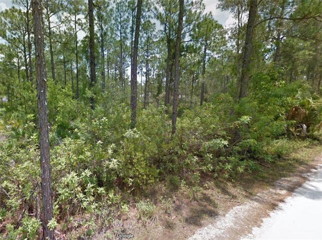 20498  Dalewood  RD, NORTH FORT MYERS, FL 33917