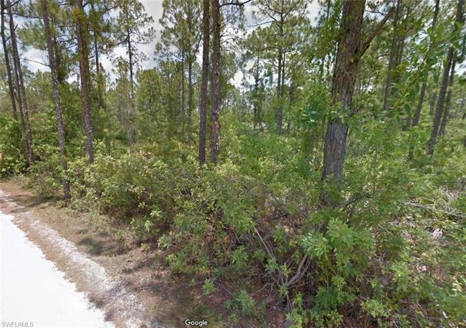 20498  Dalewood  RD, NORTH FORT MYERS, FL 33917