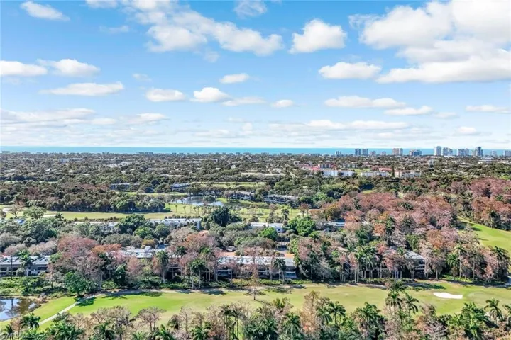 200 acre Florida forest-a true wilderness