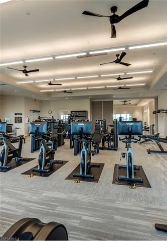 15227 Tolmino St, Naples, Florida 34114