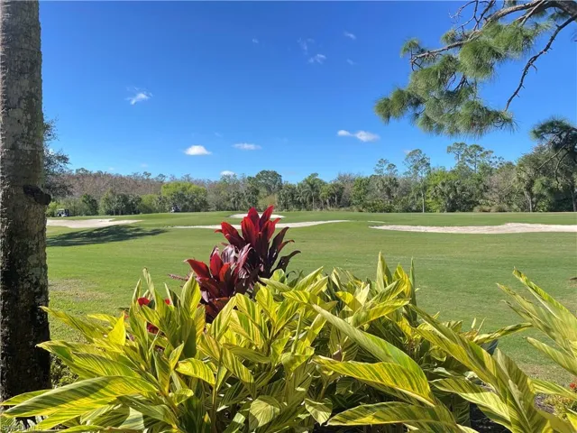 View from Lanai