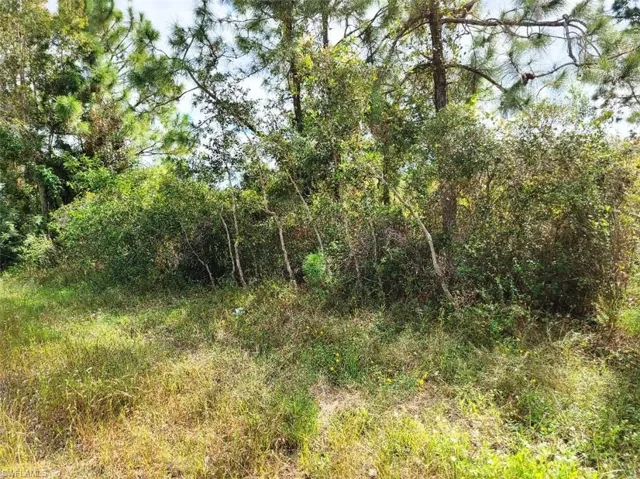 916 Ashley Oaks Dr, Lehigh Acres, Florida 33974