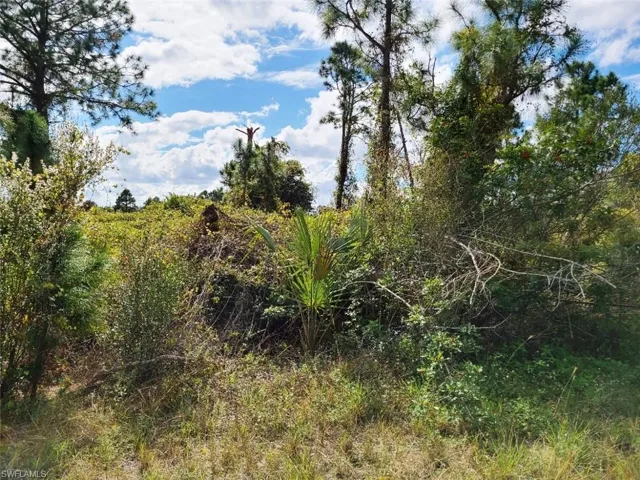 South Exposure Lot