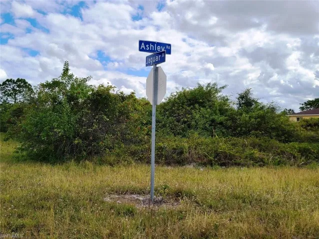 916 Ashley Oaks Dr, Lehigh Acres, Florida 33974