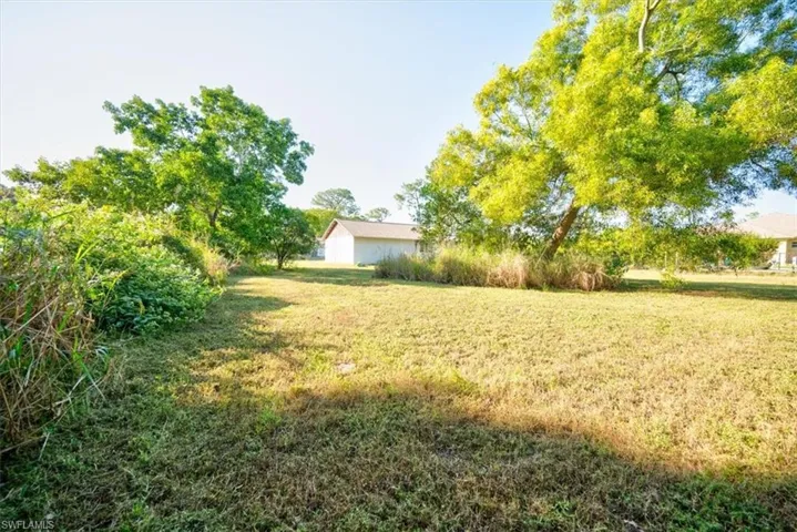 Back Yard
