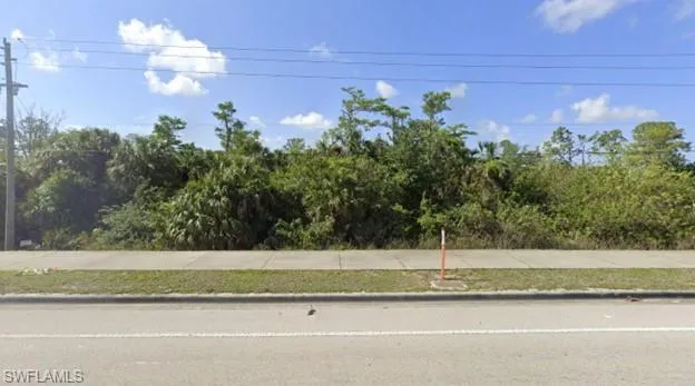 View from Immokalee Road