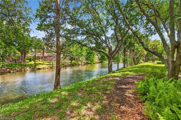 Backyard View