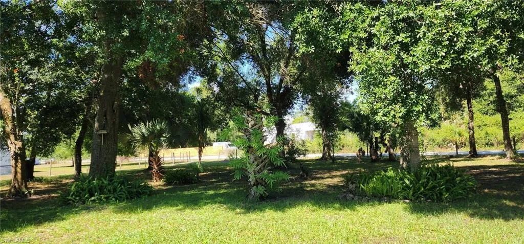 View of front yard