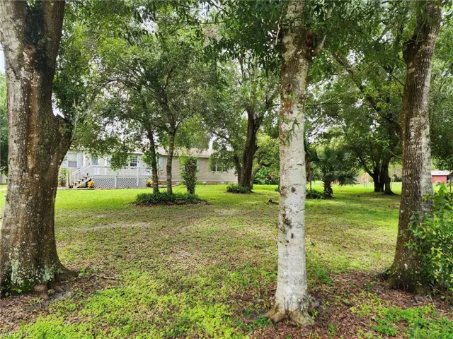 View of green lawn