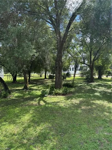 View of green lawn