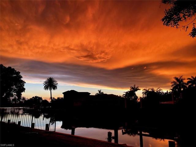 AMAZING SUMMER SKIES