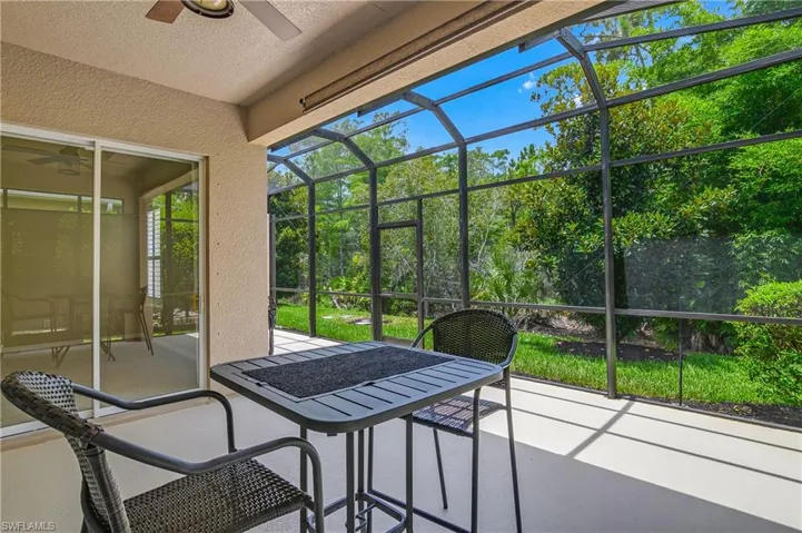 21048 Cosenza Ct, Estero, Florida 33928