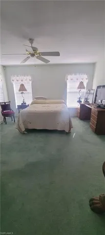 Bedroom with multiple windows, carpet, and a ceiling fan