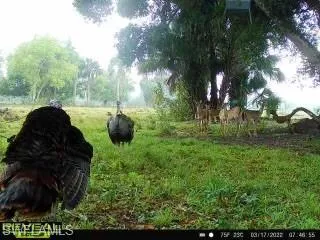 28420  Mullet  RD, Labelle, FL 33935