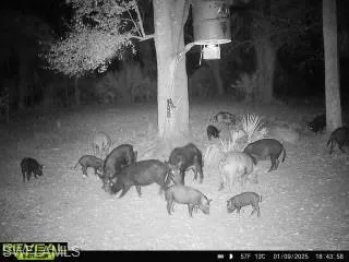 28420  Mullet  RD, Labelle, FL 33935