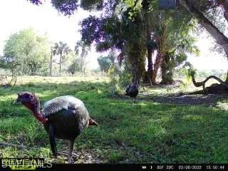 28420  Mullet  RD, Labelle, FL 33935