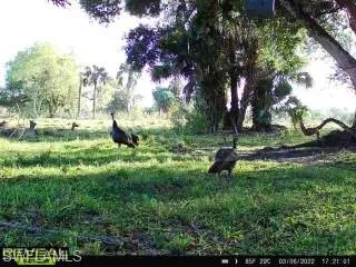 28420  Mullet  RD, Labelle, FL 33935