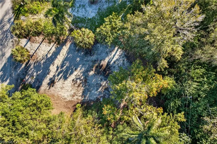 2596 Holly Ave, Naples, Florida 34112