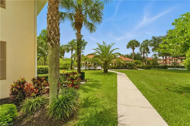View of grassy yard