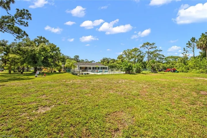 View of back yard