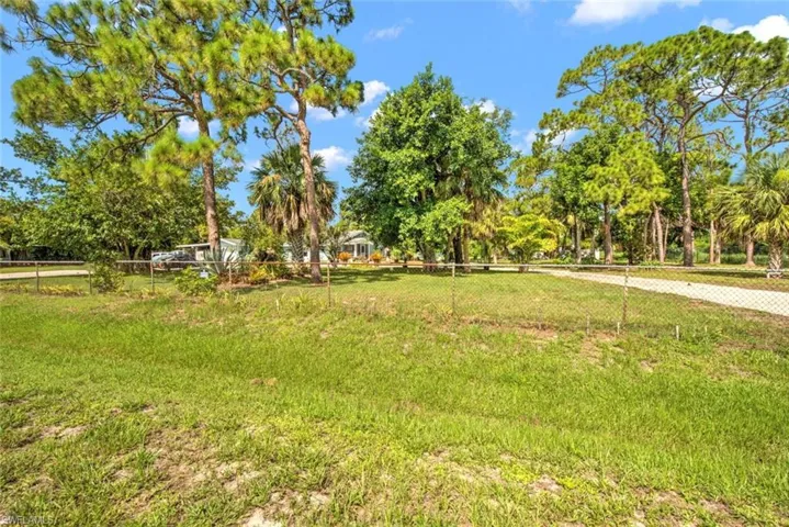 View of front yard