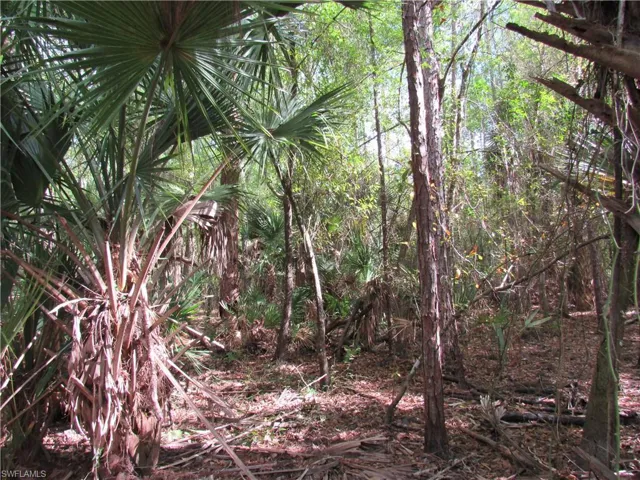 View of undeveloped land