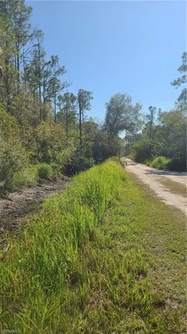 View of road