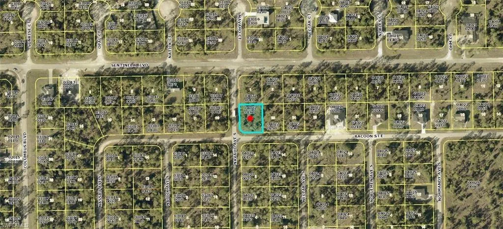 1223 Racoon St E, Lehigh Acres, Florida 33974
