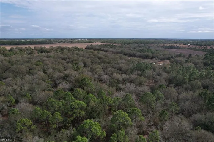 Aerial overview of property's location featuring a forest