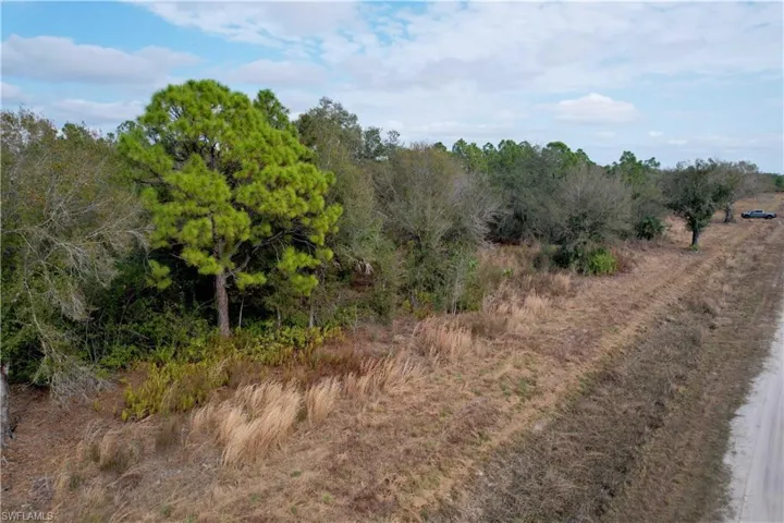 View of local wilderness