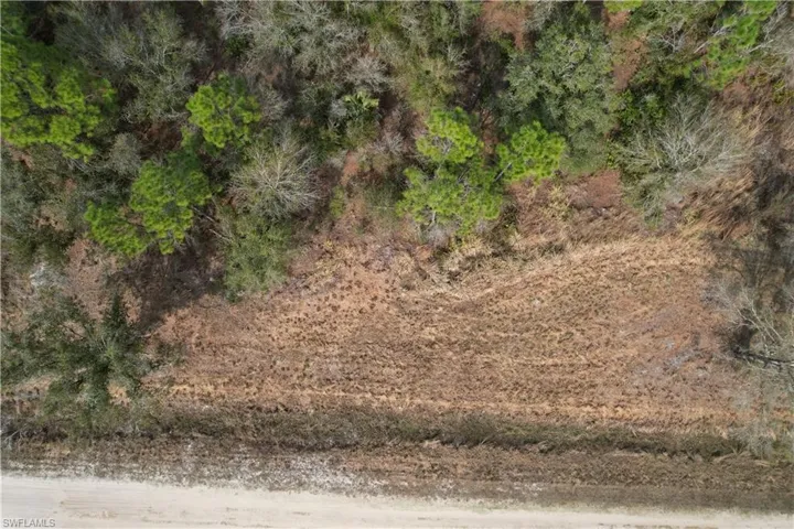View of local wilderness