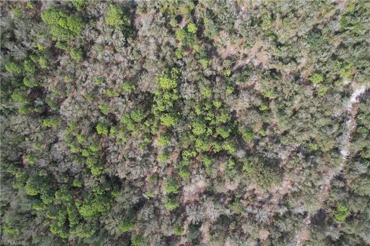 Aerial overview of property's location