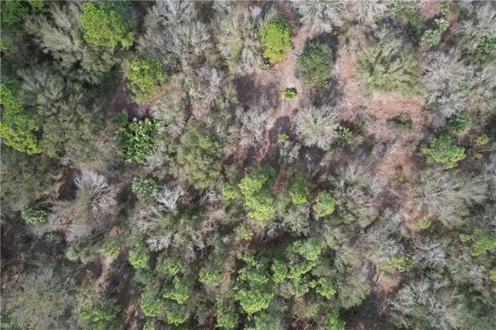 Aerial overview of property's location