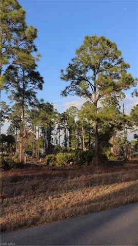 View of nature