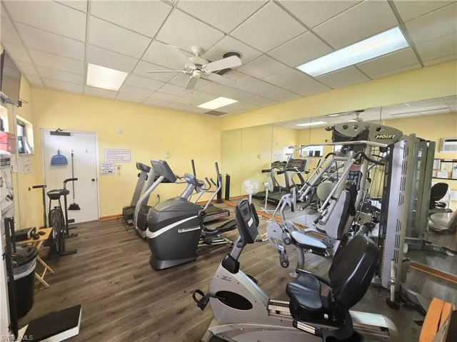 Exercise room featuring a drop ceiling, a ceiling fan, and wood finished floors