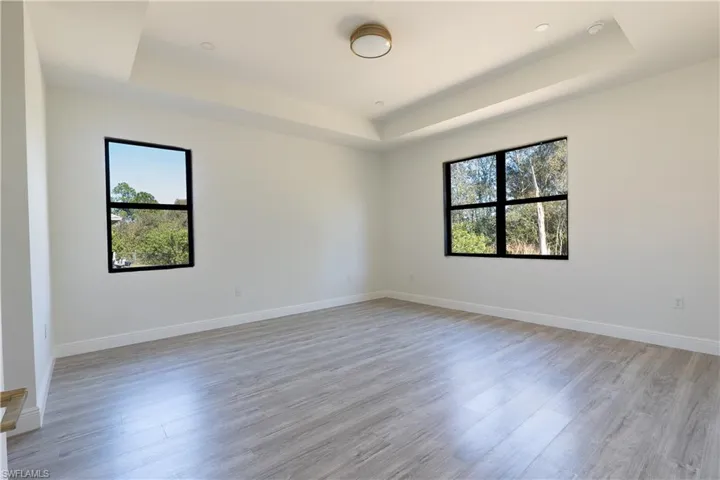 Unfurnished room with light wood finished floors, healthy amount of natural light, and a tray ceiling