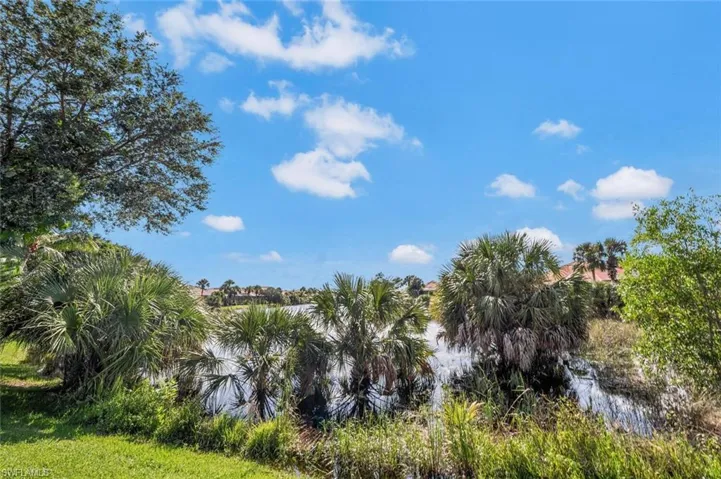 Natural preserve view