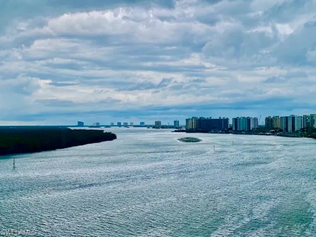Water view featuring skyline